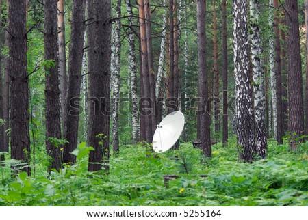 single parabolic antenna in the forest secret