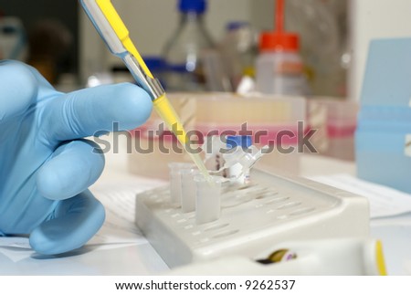 Biotechnology laboratory research tools in the hands in gloves