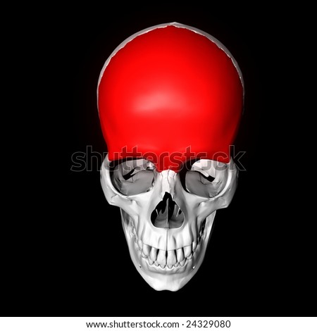Frontal Bone Highlighted Red