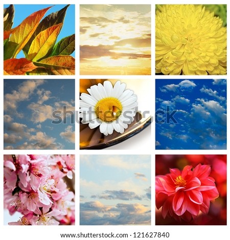 Sky and flowers collage with clouds, sun and different flowers