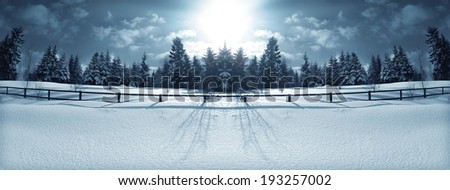 Panorama of the winter forest behind a wooden fence, lit by the rays of the sun.