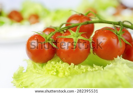 Red tomatoes and green salad leaf on white background