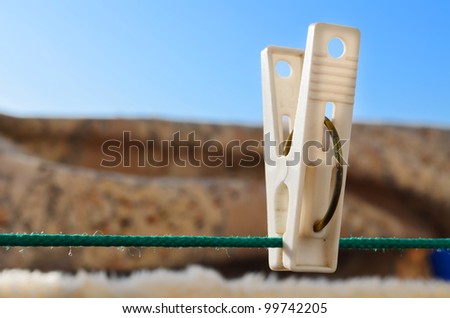 clothespin hanging on a cord stretched the green, the background brown carpet, and the blue sky