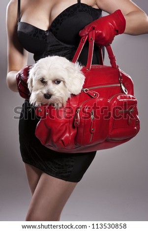 Posh, rich lady with a dog