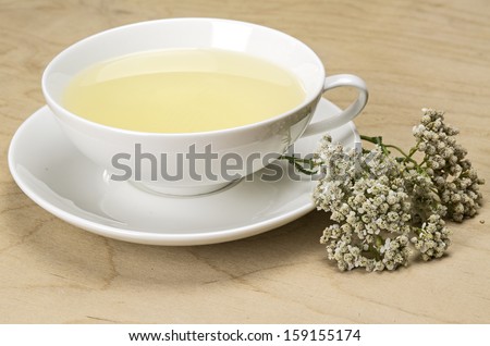White tea cup with herbal tea and yarrow