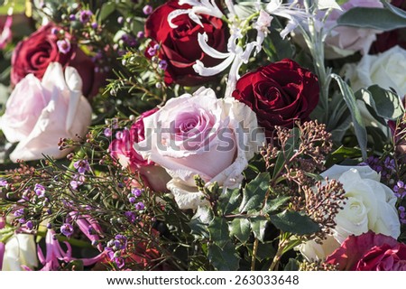 Bunch of pink and red roses