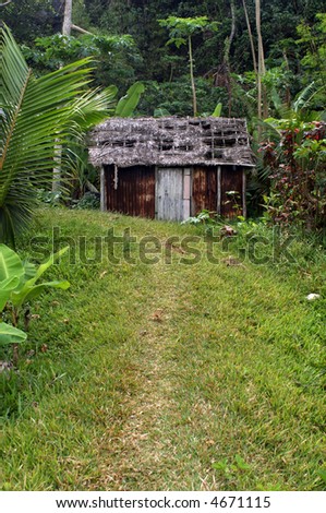 hut in forest