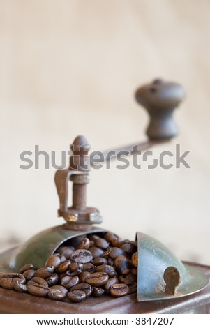 coffee grinder close-up focused on the coffee beans