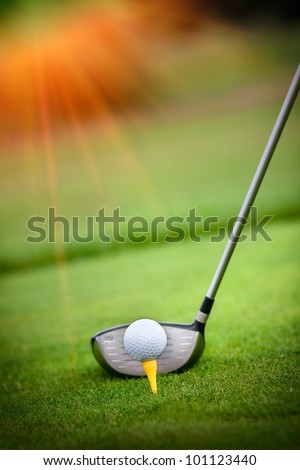 A golf club on a golf course