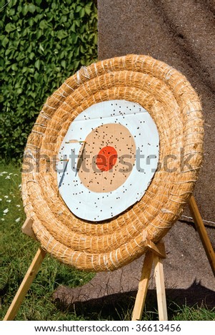 target practice bullseye. PRINTABLE TARGET PRACTICE