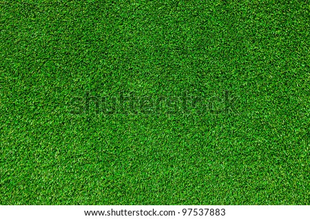 Green grass background texture.