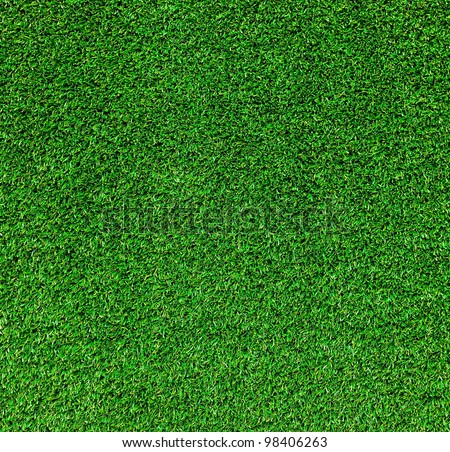 Green Grass texture