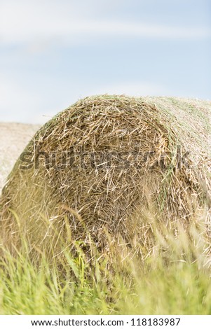 Summer scene with hay bales used for animal fodder
