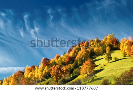 Falling colors under deep blue sky with horse tail clouds