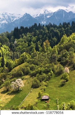 Spring vertical landscape of Moieciu valley