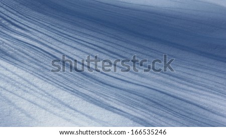 Straight lines of blue long shadows of trees on the white fresh snow