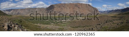 Panorama view of arctic tundra with forest of Arctic Willow, Greenland