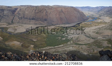 Panorama view of arctic valley with forest of arctic willow, Greenland