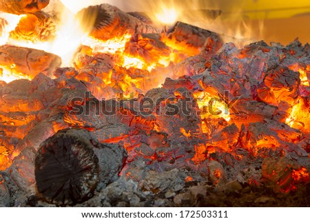 fire ashes and embers of a campfire