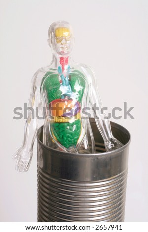 organs of human body. Clear Plastic Human Body
