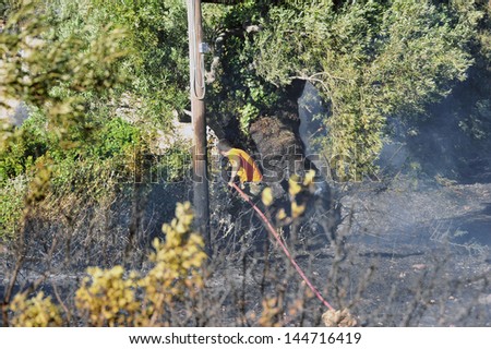 ZAKYNTHOS GREECE JULY 3: Fire department in action at makris gialos small forest close to the sea low scale fire on July 03 2013 in Zakynthos,Greece