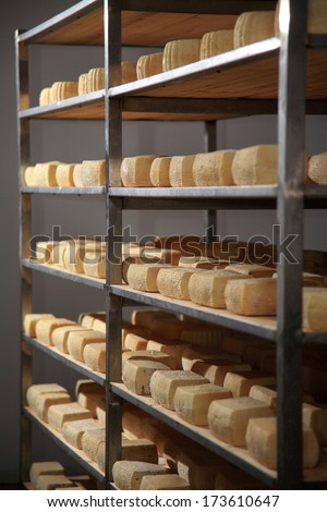 view of a maturing storehouse of cheese