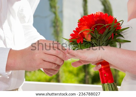 closeup of wedding couple hands exchange rings