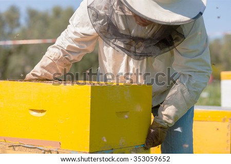 farmer with bee smoker checking a hive with bees