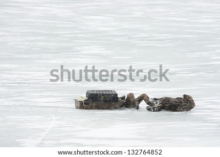 Ice fishing fall on frozen lake surface