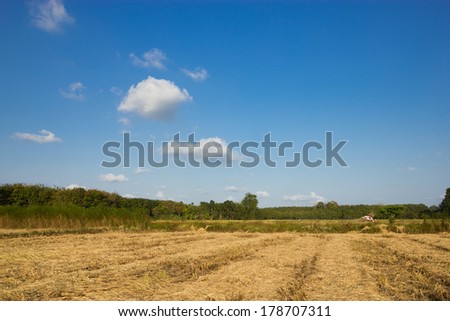 Fields after harvest with cloud and sky