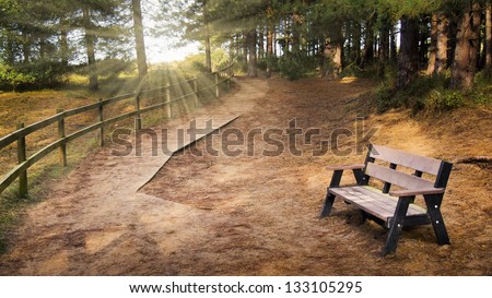 Serene rural path in the forest winding into the distance with an empty bench in the foreground and rays of light shining through the trees