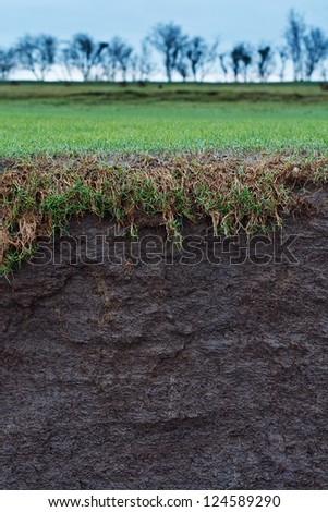 cross section of a grass field with exposed soil following erosion or landslide
