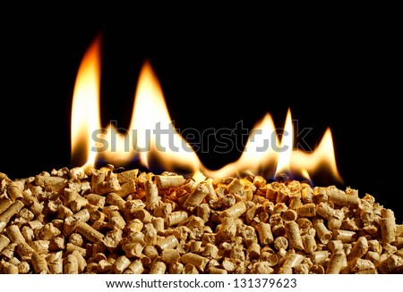 burning wood chip pellets a renewable source of energy becoming popular as a green environmentally friendly fuel for stoves which provide household heating