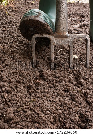 Gardener digging the earth over with a garden fork to cultivate the soil ready for planting in early spring