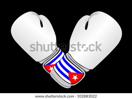 Boxing gloves close up on a white background