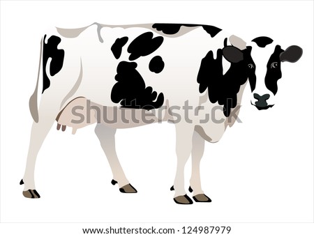 Cow Isolated On A White Background Stock Vector Illustration 124987979