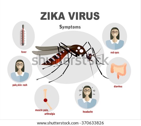 Flat Design Illustration Concepts Zika Virus Symptoms Infographics With