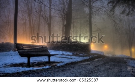 Bench in the magical forest - HDR