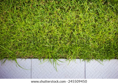 Grass and tile background