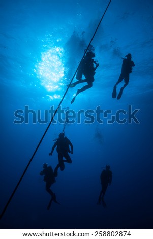 Five scuba divers exploring the deep blue/ Exploring the Deep Blue