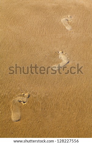 footprints in the sand of the sea, in the light of the sun