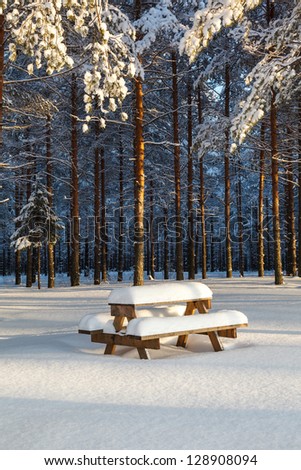 Winter pine forest and a table with benches under a layer of snow