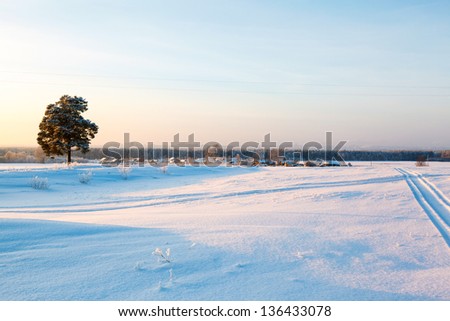 russian winter road and trees in snow blue sky