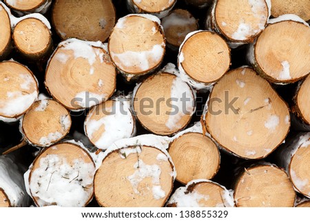 Stack of cut timber logs with snow. paper production. background