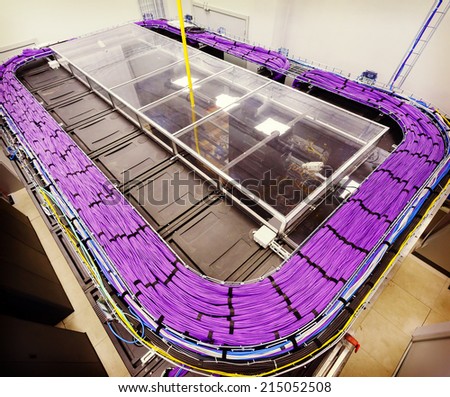Large group of lilac utp Internet cables in Data Center