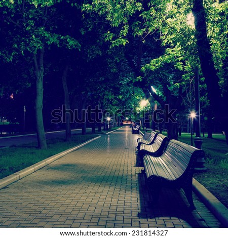 benches on the pavement in the light of a lantern at night in summer park