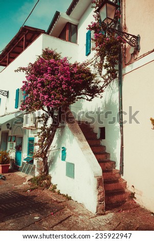 the narrow streets of the town and staircase in old house and flowers Oleander in Italy, Sardinia