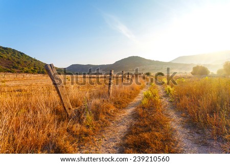 fence on the field a farm, yellow grass at the farmer\'s field in the rays of sunrise, Italy