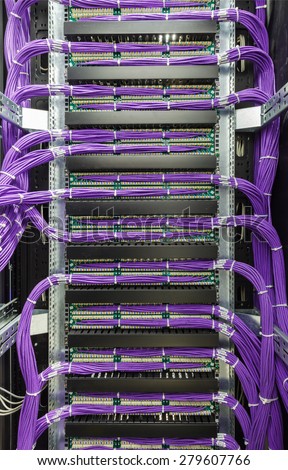 Large group of lilac utp, patch panel in the server rack in the data center