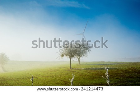 Frozen tree and windmill in the field with blue sky during the coldest season of Turkey. Frost is making the daily life harder both for people and crops.